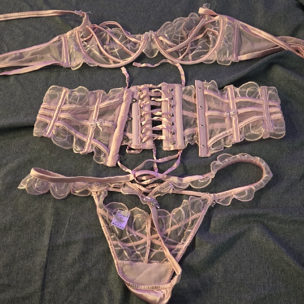 Sheer Lace Bra Set in Soft Pink
